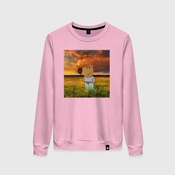 Женский свитшот Чисто чилловый парень