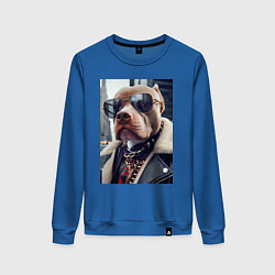 Женский свитшот Чувак питбуль в тёмных очках