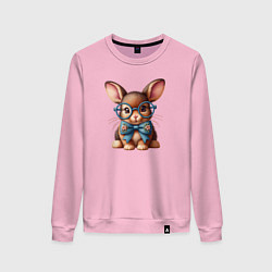Женский свитшот Кролик мальчик в очках