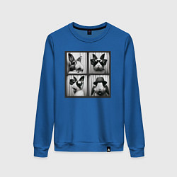 Женский свитшот Кролик в фотобудке