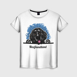 Футболка женская Ньюфаундленд Newfoundland, цвет: 3D-принт