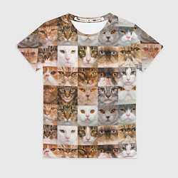 Футболка женская Pedigreed cats, цвет: 3D-принт