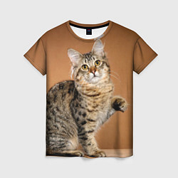 Женская футболка Кот дает лапу