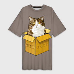 Женская длинная футболка Котик в коробке