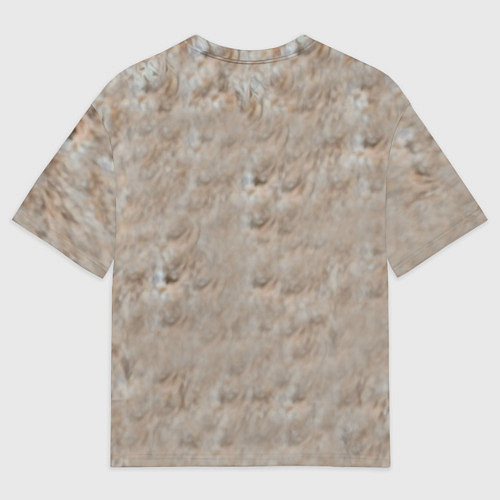 Женская футболка оверсайз Львенок / 3D-принт – фото 2