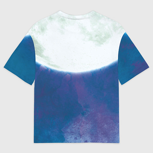 Женская футболка оверсайз Легоси Хару целый принт / 3D-принт – фото 2