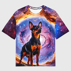 Футболка оверсайз женская Пинчер в космосе, цвет: 3D-принт