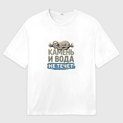 Женская футболка оверсайз Под лежачий камень ленивец бежевый арт
