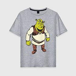 Футболка оверсайз женская Shrek 3, цвет: меланж
