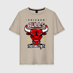 Женская футболка оверсайз Chicago Bulls est. 1966