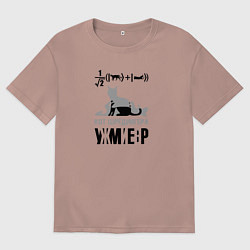 Женская футболка оверсайз Кот Шредингера