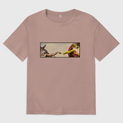 Женская футболка оверсайз Шрек: Сотворение ослика