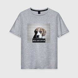 Футболка оверсайз женская Бигль шалун, цвет: меланж