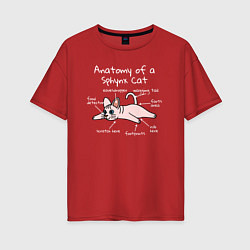Женская футболка оверсайз Анатомия кошки сфинкса