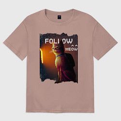 Женская футболка оверсайз STRAY FOLLOW MEOW