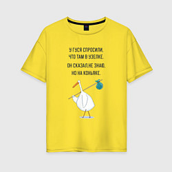 Женская футболка оверсайз Стишок про гуся