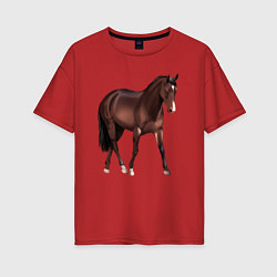 Женская футболка оверсайз Австралийская пастушья лошадь