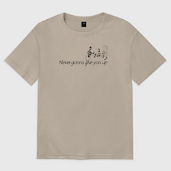 Женская футболка оверсайз Never gonna give you up QR-код музыка