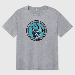 Женская футболка оверсайз Лучше гор может быть только котик