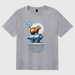 Женская футболка оверсайз Прикол по немецки - капибара и пушка