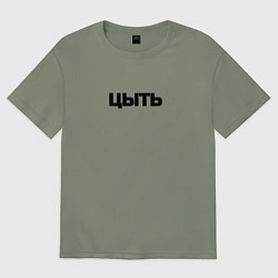 Женская футболка оверсайз Цыть