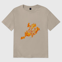 Женская футболка оверсайз Новокузнецк