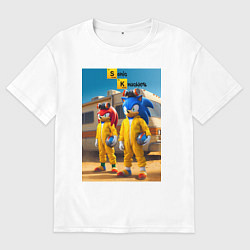 Футболка оверсайз женская Ёжик Соник и ехидна пустились во все тяжкие, цвет: белый