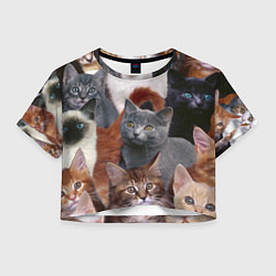 Женский топ КОТЯТКИ