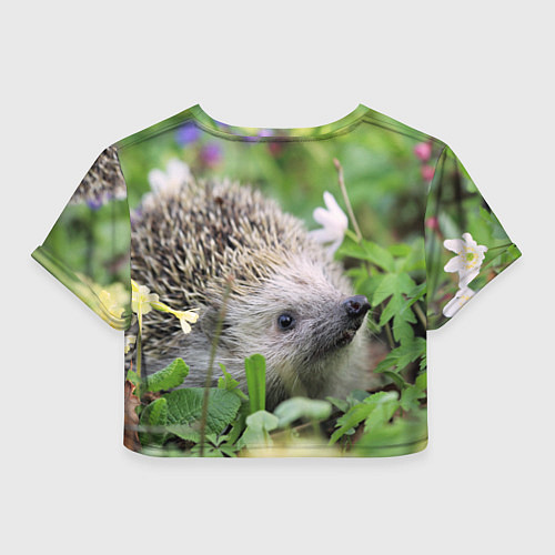 Женский топ Лесной ёжик в траве / 3D-принт – фото 2