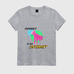 Футболка хлопковая женская Привет я из internet, цвет: меланж