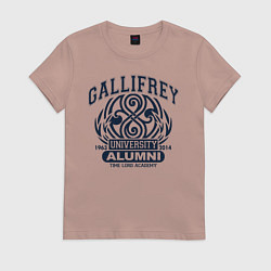 Футболка хлопковая женская Доктор Кто, Галлифрей, цвет: пыльно-розовый