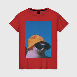 Футболка хлопковая женская Котик в шляпе и очках, цвет: красный