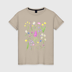 Футболка хлопковая женская Полевые цветы, растения акварелью Ботаника, цвет: миндальный