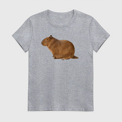 Футболка хлопковая женская Капибара сидит и спит, цвет: меланж