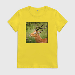Женская футболка Газель антилопа среди деревьев