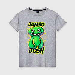 Футболка хлопковая женская Jumbo Josh, цвет: меланж