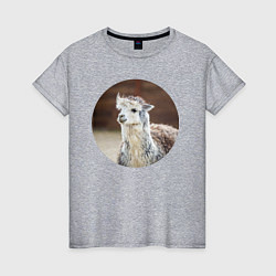 Футболка хлопковая женская Альпака, цвет: меланж