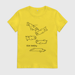 Футболка хлопковая женская Not today спящие коты, цвет: желтый