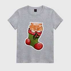 Футболка хлопковая женская Рыжик спит, цвет: меланж