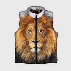 Женский жилет Красавец лев