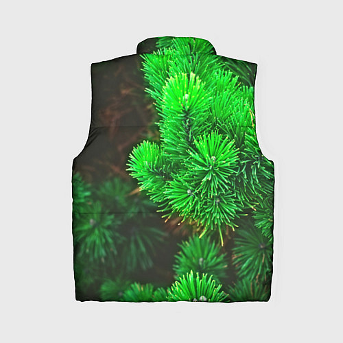 Женский жилет Зелёная ель / 3D-Черный – фото 2