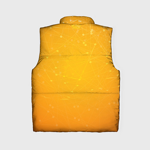 Женский жилет Bitcoin Orange / 3D-Черный – фото 2