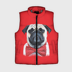 Женский жилет Довольный мопс: реализм, цвет: 3D-светло-серый