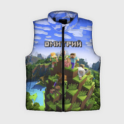 Женский жилет Майнкрафт: Дмитрий, цвет: 3D-черный