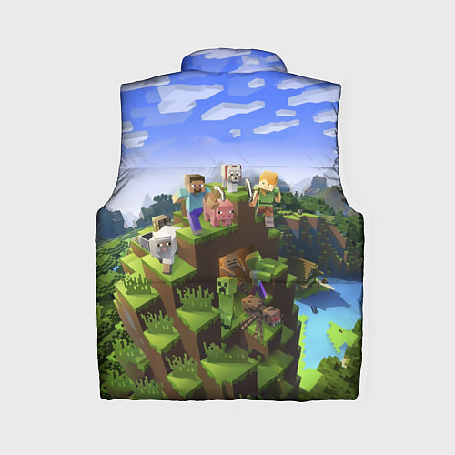 Женский жилет Майнкрафт: Владислав / 3D-Черный – фото 2