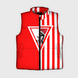 Женский жилет Красно-белый воин, цвет: 3D-светло-серый