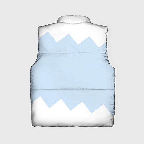 Женский жилет Sonic Stories / 3D-Черный – фото 2