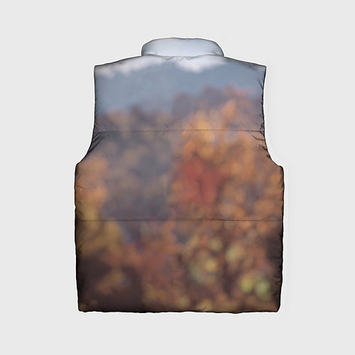 Женский жилет Fallout 76 / 3D-Черный – фото 2