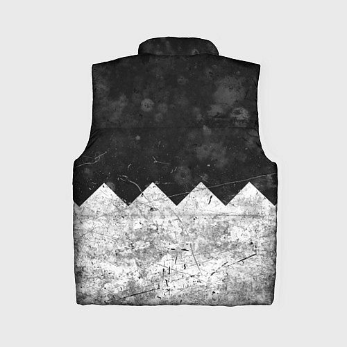 Женский жилет BONES: SESH Team / 3D-Черный – фото 2