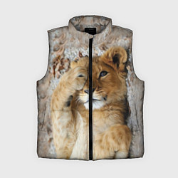 Женский жилет Львенок, цвет: 3D-светло-серый